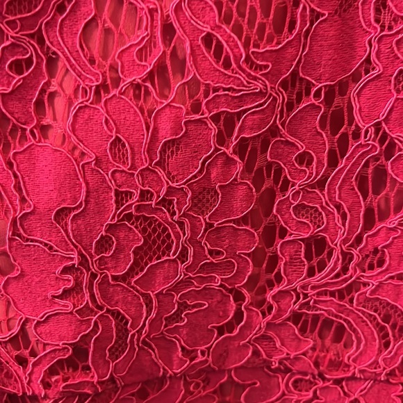 Eliza J - Lace Fit & Flare Dress with Flutter Sleeve - Picture 8 of 11